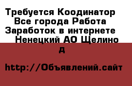 Требуется Коодинатор - Все города Работа » Заработок в интернете   . Ненецкий АО,Щелино д.